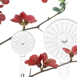 Душевая лейка Swedbe Calypso 5019 хром/белый